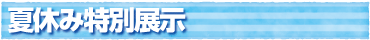 夏休み特別展示
