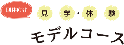 見学・体験 モデルコース